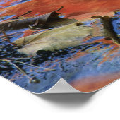 Verenigde Staten, New York, Adirondacks, Gestorven Poster (Hoek)