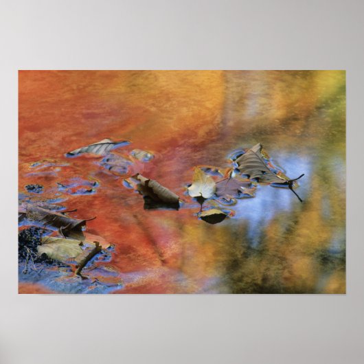 Verenigde Staten, New York, Adirondacks, Gestorven Poster (Voorkant)