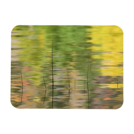 Verenigde Staten, New York, Adirondacks, Reflectie Magneet (Horizontaal)