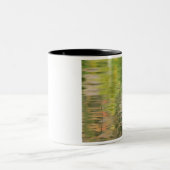 Verenigde Staten, New York, Adirondacks, Reflectie Tweekleurige Koffiemok (Center)