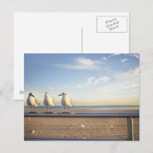 Verenigde Staten, New York City, Coney Island, dri Briefkaart (Voorkant / Achterkant)