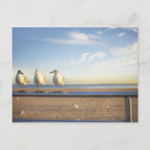 Verenigde Staten, New York City, Coney Island, dri Briefkaart (Voorkant)