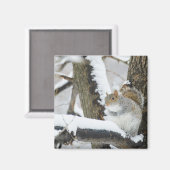 Verenigde Staten, New York, New York City, eekhoor Magneet (Voorkant / Achterkant)