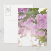 Verenigde Staten, New York State, New York City, C Briefkaart (Voorkant / Achterkant)