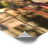 Verenigde Staten, Nieuw-Mexico, Mesilla: Historic  Poster (Hoek)