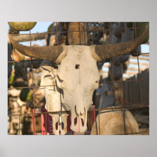 Verenigde Staten, Nieuw-Mexico, Mesilla: Historic  Poster