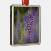 Verenigde Staten, Noordoost-Minnesota, bij Silver  Metalen Ornament (Rechts)