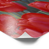 Verenigde Staten, Ohio, Cincinnati. Roodbuikholte Foto Afdruk (Hoek)