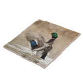 Verenigde Staten, Oregon, Baskett Slough National  Tegeltje (Zijkant)