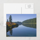 Verenigde Staten, Oregon, Clear Lake Briefkaart (Voorkant / Achterkant)