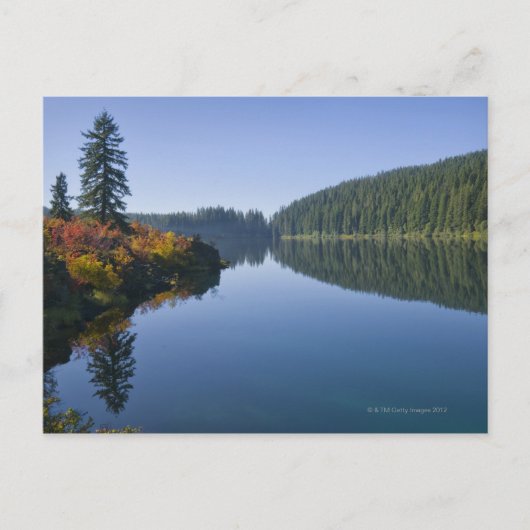 Verenigde Staten, Oregon, Clear Lake Briefkaart (Voorkant)