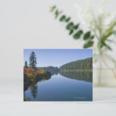 Verenigde Staten, Oregon, Clear Lake Briefkaart (Staand voorkant)