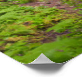 Verenigde Staten, Oregon, Columbia River Gorge 3 Poster (Hoek)
