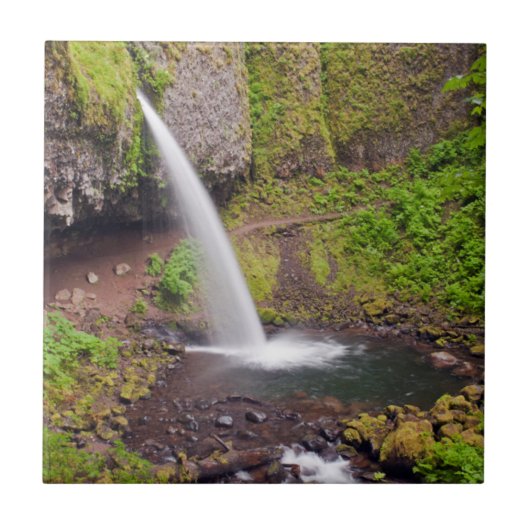 Verenigde Staten, Oregon, Columbia River Gorge 4 Tegeltje (Voorkant)