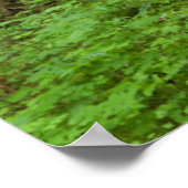 Verenigde Staten, Oregon, Columbia River Gorge. El Poster (Hoek)