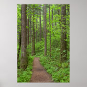 Verenigde Staten, Oregon, Columbia River Gorge. El Poster (Voorkant)