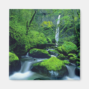 Verenigde Staten, Oregon, Columbia River Gorge Nat Magneet