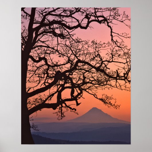 Verenigde Staten, Oregon, Columbia River Gorge Nat Poster (Voorkant)