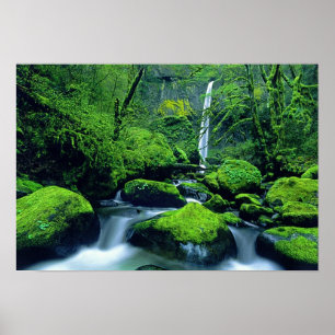 Verenigde Staten, Oregon, Columbia River Gorge Nat Poster