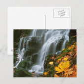 Verenigde Staten, Oregon, Fairy Herfsten, Columbia Briefkaart (Voorkant / Achterkant)