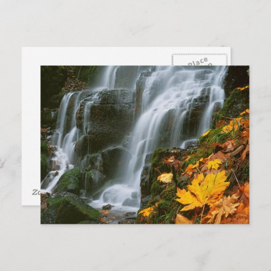 Verenigde Staten, Oregon, Fairy Herfsten, Columbia Briefkaart (Voorkant / Achterkant)