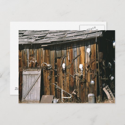 Verenigde Staten, Oregon, Harney County. Oude leve Briefkaart (Voorkant / Achterkant)