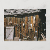 Verenigde Staten, Oregon, Harney County. Oude leve Briefkaart (Voorkant)