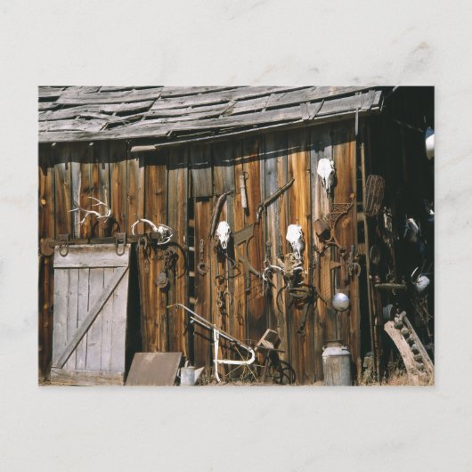 Verenigde Staten, Oregon, Harney County. Oude leve Briefkaart (Voorkant)