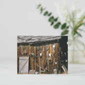 Verenigde Staten, Oregon, Harney County. Oude leve Briefkaart (Staand voorkant)