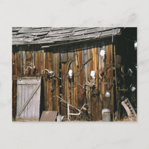 Verenigde Staten, Oregon, Harney County. Oude leve Briefkaart