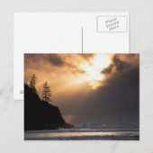 Verenigde Staten, Oregon, nabij Oswald West State  Briefkaart (Voorkant / Achterkant)