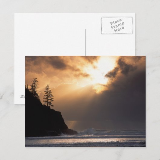 Verenigde Staten, Oregon, nabij Oswald West State  Briefkaart (Voorkant / Achterkant)