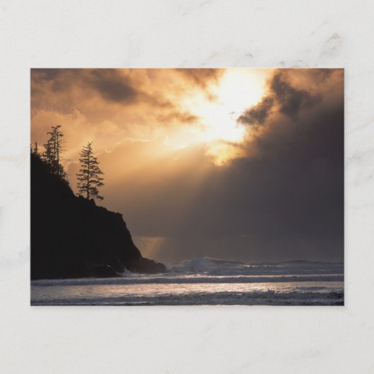 Verenigde Staten, Oregon, nabij Oswald West State  Briefkaart (Voorkant)