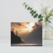 Verenigde Staten, Oregon, nabij Oswald West State  Briefkaart (Staand voorkant)