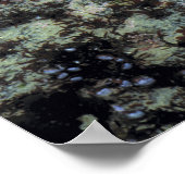 Verenigde Staten, Oregon, Nepture SP. Zee met hand Poster (Hoek)