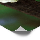 Verenigde Staten, Pennsylvania. Foxglove and delph Poster (Hoek)