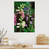 Verenigde Staten, Pennsylvania. Foxglove and delph Poster (Keuken)
