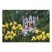 Verenigde Staten, Pennsylvania. Gardenirissen groe Foto Afdruk (Voorkant)