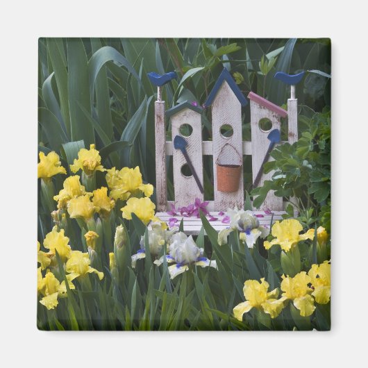 Verenigde Staten, Pennsylvania. Gardenirissen groe Magneet (Voorkant)