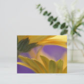 Verenigde Staten, Pennsylvania. Gele Gerbera Daisi Briefkaart (Staand voorkant)