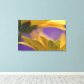 Verenigde Staten, Pennsylvania. Gele Gerbera Daisi Canvas Afdruk (Insitu (Houten vloer))