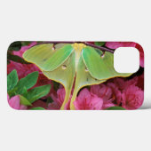 Verenigde Staten, Pennsylvania. Luna moth on roze Case-Mate iPhone Case (Achterkant (horizontaal))