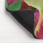 Verenigde Staten, Pennsylvania. Luna moth on roze  Muismat (Hoek)