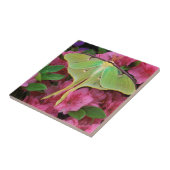 Verenigde Staten, Pennsylvania. Luna moth on roze  Tegeltje (Zijkant)