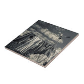 Verenigde Staten, Pennsylvania, Pennsylvania Neder Tegeltje (Zijkant)