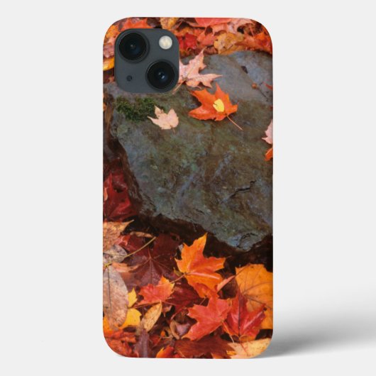 Verenigde Staten, Pennsylvania. Sluiting van bosgr Case-Mate iPhone Case (Achterkant)