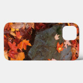 Verenigde Staten, Pennsylvania. Sluiting van bosgr Case-Mate iPhone Case (Achterkant (horizontaal))