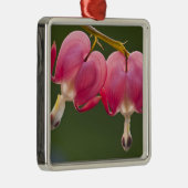 Verenigde Staten, Pennsylvania. Sluiting van twee  Metalen Ornament (Rechts)