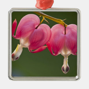 Verenigde Staten, Pennsylvania. Sluiting van twee  Metalen Ornament