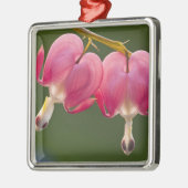 Verenigde Staten, Pennsylvania. Sluiting van twee  Metalen Ornament (Links)